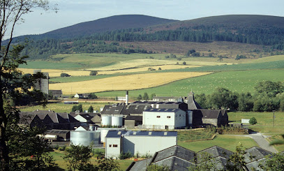 Kininvie Distillery