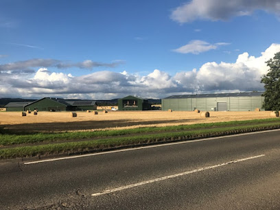 Morrison Scotch Whisky Distillers