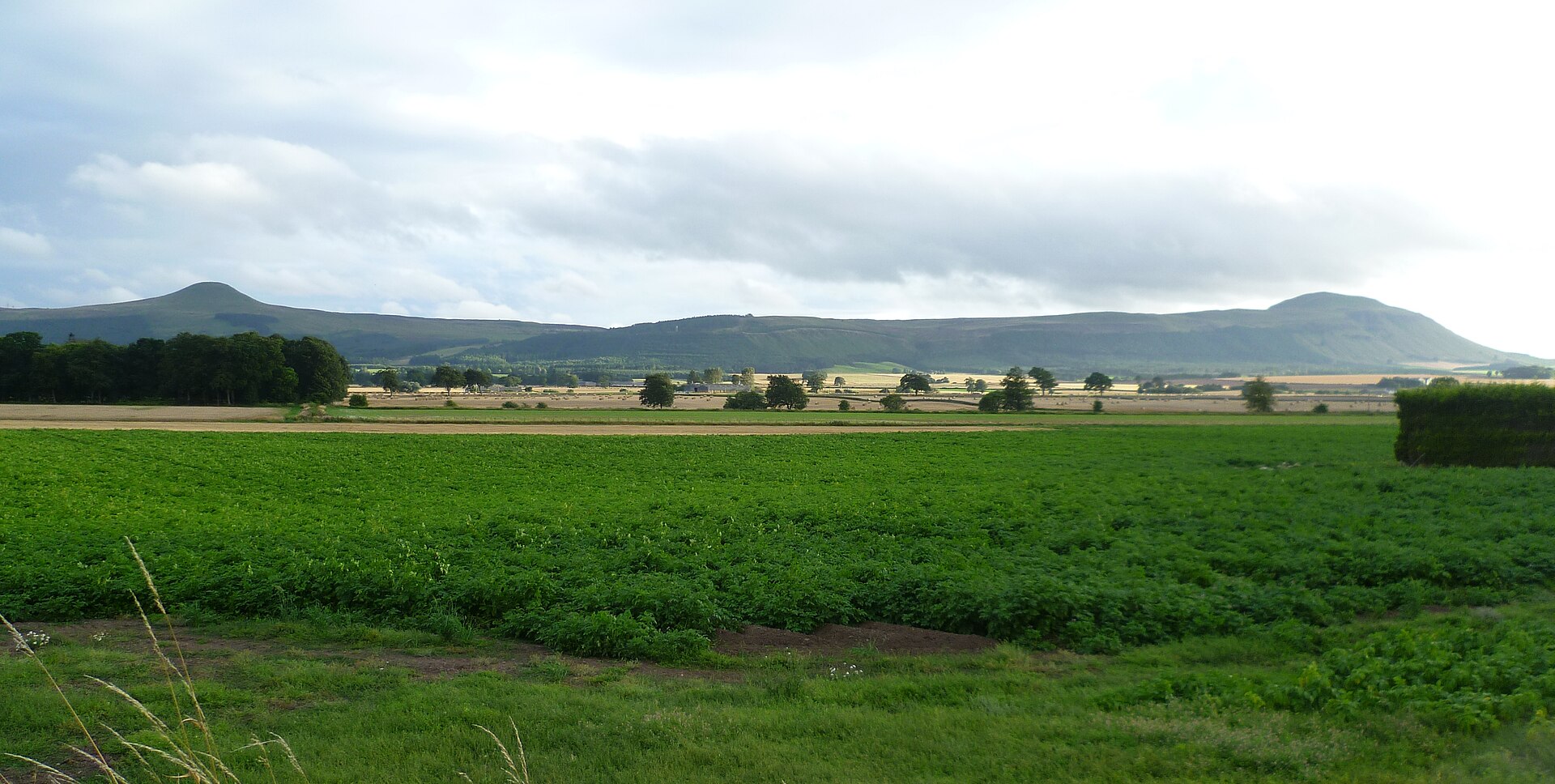 Fife